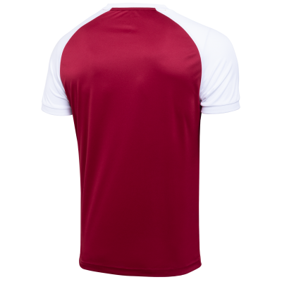 Футболка игровая CAMP Reglan Jersey JFT-1021-G1, гранатовый/белый